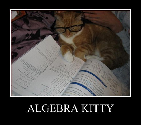 Welcome to Algebra 1! 